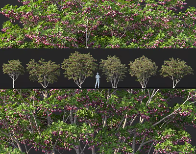 Lush Flowering Shrubs With Pink Blooms Green Leaves And Dense Foliage For Garden Landscaping 3d model