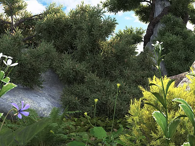 Lush Green Shrubs Surrounded by Purple Flowers Yellow Plants Ferns and Rocks in Natural Garden 3d model