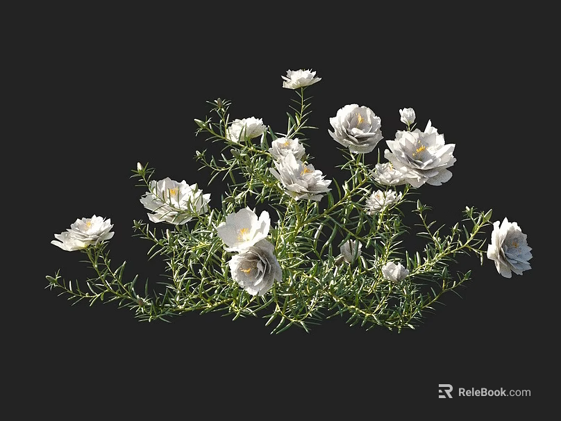 Beautiful Blooming White Flowers with Lush Green Foliage Against Black Background 3d model 