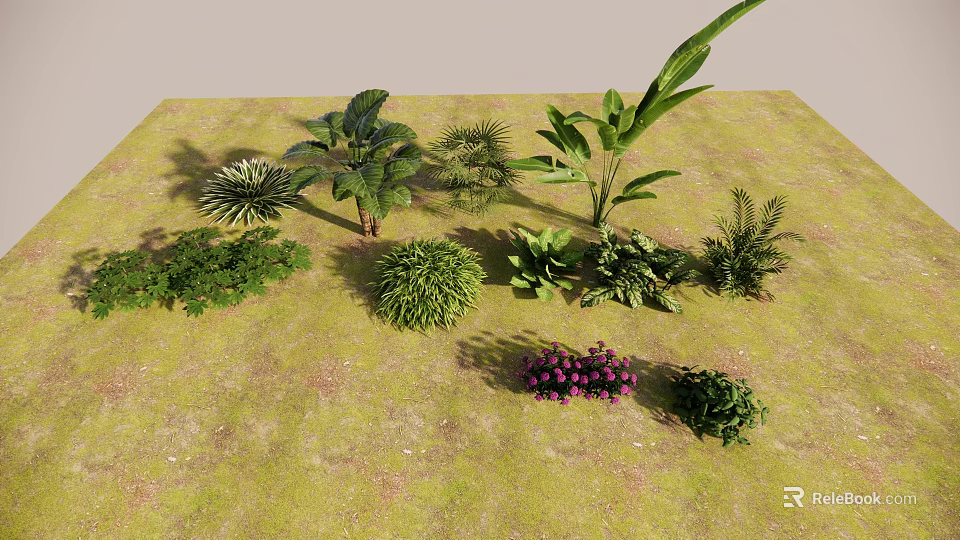Different Types Of Green Plants And Purple Flowers Growing On Mossy Ground 3d model 
