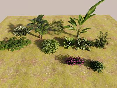 Different Types Of Green Plants And Purple Flowers Growing On Mossy Ground 3d model