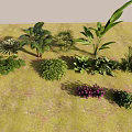 Different Types Of Green Plants And Purple Flowers Growing On Mossy Ground