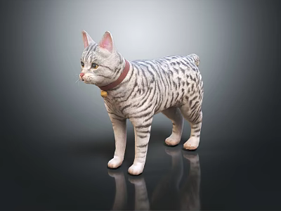Striped Cat With Red Collar And Bell Standing On Shiny Surface Against Dark Background 3d model