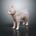 Striped Cat With Red Collar And Bell Standing On Shiny Surface Against Dark Background