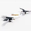 Detailed Flying Eagles Sculpture Models With Spread Wings On White Background