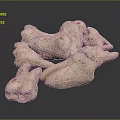 Pale Pink Head Organ Anatomical Models With Red Markings Irregular Shapes On Dark Reflective Background