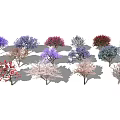 Various Colorful Flowering Shrub Varieties With Purple Pink Red Blooms