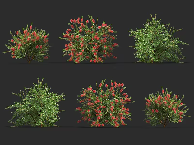 Modern shrubs 3d model Modern shrubs 3d model