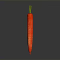 Fresh Healthy Red Carrot with Green Leafy Top on a Gray Background