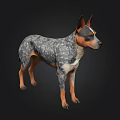 Blue Gray And Brown Dog Standing In Dark Background With Detailed Fur