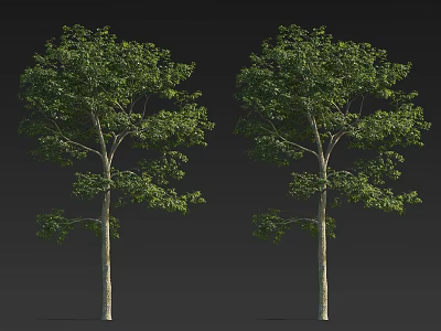 Two Lush Green Trees With Brown Trunks And Vibrant Green Leaves 3d model