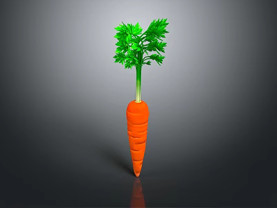 Fresh Organic Carrot with Green Leafy Tops on Dark Background 3d model