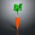 Fresh Organic Carrot with Green Leafy Tops on Dark Background