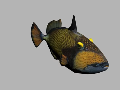 Modern salmon 3d model Modern salmon 3d model