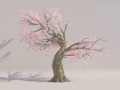 Graceful Flowering Tree With Pink Blossoms And Twisted Trunk In Outdoor Space 3d model
