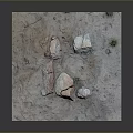 Natural Sandy Ground Scene With Scattered Stones And Small Green Grass Tufts