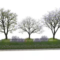 Purple Flowering Trees With Green Shrubs And Lush Lawn Landscaping