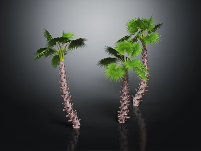 Three Palm Trees With Textured Trunks And Green Fronds On Dark Background 3d model