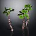 Three Palm Trees With Textured Trunks And Green Fronds On Dark Background