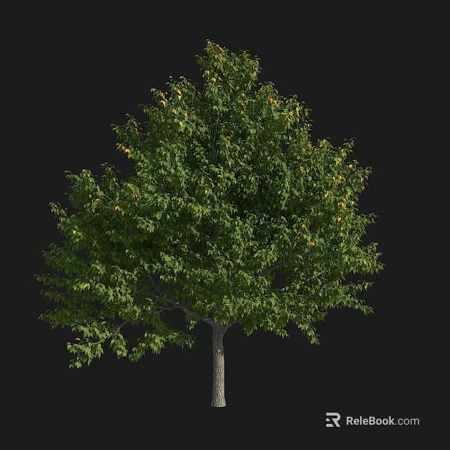 Vibrant Green Arbor With Lush Dense Foliage And Strong Healthy Trunk 3d model 