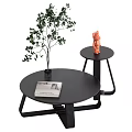 Black Coffee Table With Magazine And Small Potted Plant Plus Side Table Holding Orange Figurine