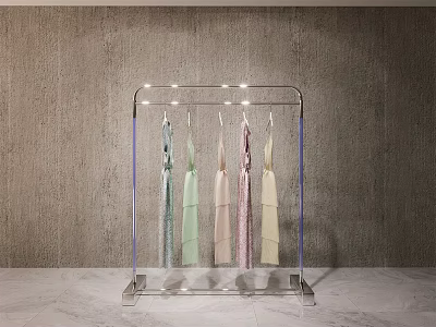 Modern Transparent Acrylic Clothing Rack with Various Colored Dresses Hanging in Minimalist Indoor Setting 3d model