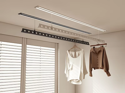 Indoor Clothes Hanging Space With Window Blinds White Top and Brown Shirt 3d model