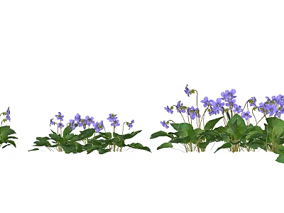 Vibrant Purple Flowers With Green Leaves Arranged In A Garden Row 3d model