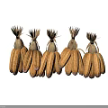 Golden Dried Corn Cobs With Husks Arranged In A Straight Row