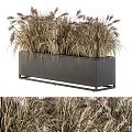 Modern Black Metal Garden Planter Box With Tall Ornamental Grasses For Outdoor Decor