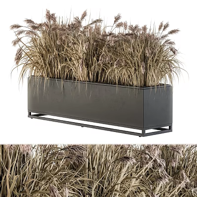 Modern Black Metal Garden Planter Box With Tall Ornamental Grasses For Outdoor Decor 3d model