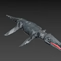 Realistic 3D Shark Model With Open Mouth And Sharp Teeth 3d model
