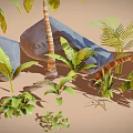 Natural Landscape Design With Wooden Palm Trunks Stone Rocks And Green Foliage Plants