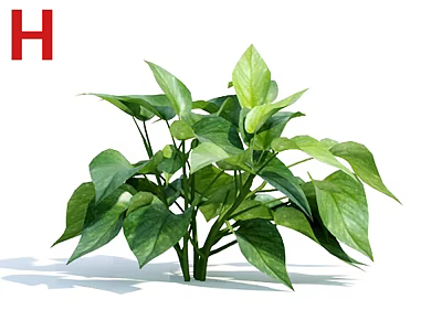 Lush Green Potted Plant With Vibrant Leaves For Indoor Decorative Houseplant 3d model