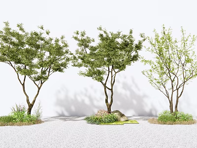 Modern Tree Landscape Tree 3d model Modern Tree Landscape Tree 3d model