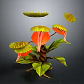 Vibrant Tropical Carnivorous Plant Featuring Orange Pitchers Yellow Lids And Green Leaves
