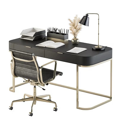 Black Office Desk Metal Frame Leather Chair Open Notebook Pen Holder Table Lamp Dried Plant 3d model
