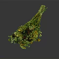 Natural Dried Flower Bouquet With Mixed Colors And Decorative Dried Stems