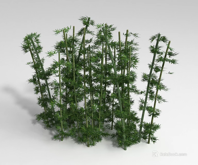 Bamboo Plants With Green Stems And Lush Leaves For Natural Decor 3d model 