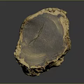 Natural Wood Stone Decorative Piece With Warm Yellow Brown Texture And Tree Knots