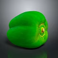 Fresh Green Bell Pepper Nutritious Healthy Vegetable Great For Salads And Cooking