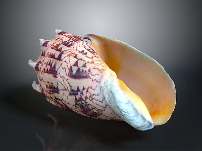 Organ And Hair Like Textures In Purple White Shell With Orange Interior 3d model