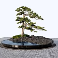 Garden Ornament With Circular Base Shaped Tree Rocks And Greenery On Black Marble