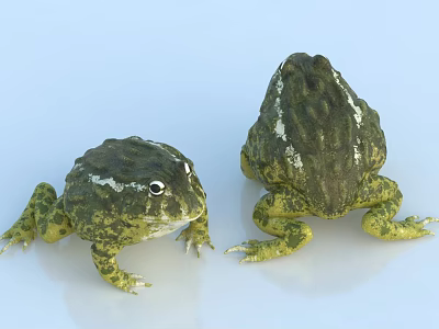 Two Green And Yellow Reptiles With Textured Skin In Different Positions 3d model