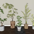 Indoor Decorative Potted Plants With Various Green Leaves And Different Material Pots On Wooden Floor