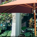 Specialty Store Interior With Green Walls Bright Lighting Shelves Full Of Products And Counters