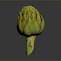 Fresh Artichoke with yellow green scales and a green stem on a dark smooth background