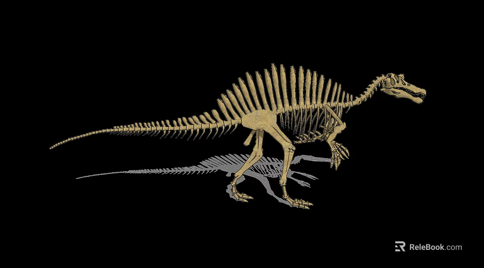 Public Museum Facilities Displaying Dinosaur Skeleton Exhibits With Guide Signage 3d model 