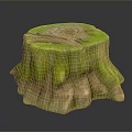 Wooden Stump With Natural Texture And Green Moss Covered Decorative Surface