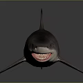 Realistic Shark 3D Model With Open Mouth And Sharp Teeth Details 3d model